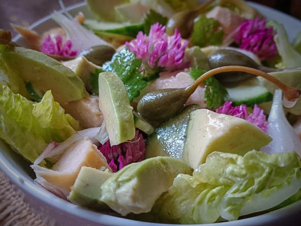 Salade de printemps aux sucrines et fleurs de trèfle