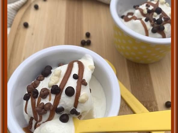 Mc Flurry fait maison au Thermomix