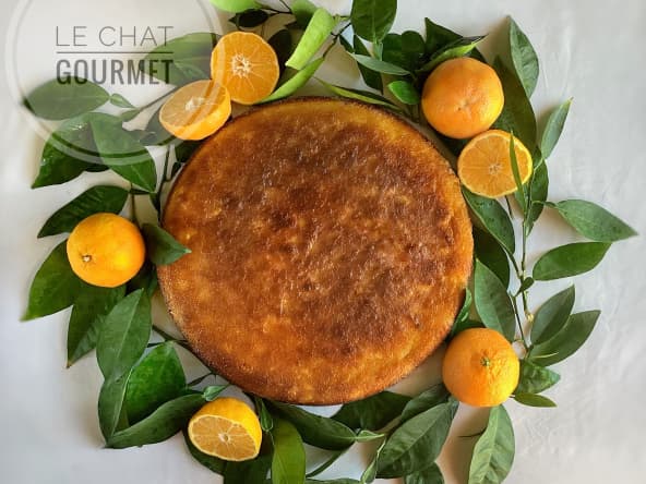 Gâteau aux amandes et clémentines