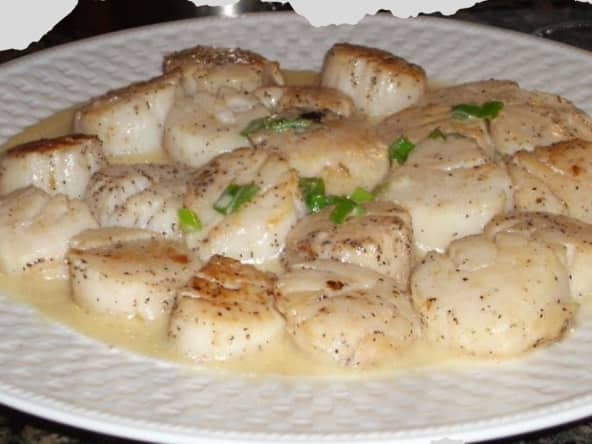 Saint-Jacques au Champagne sur Fondue de Poireau