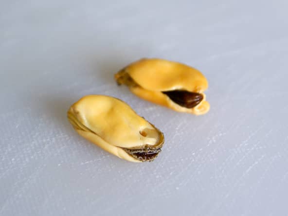 Ebarber les moules ou les huitres - Technique culinaire