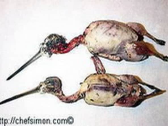 Bécassines rôties - Recette des bécassines rôties sur pain d'épices.
