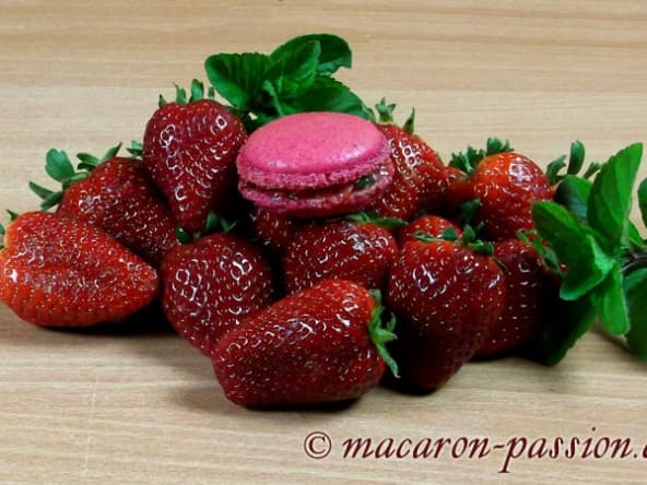 Macarons fraise-menthe