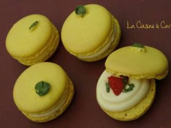 Macarons Citron Fraise et Basilic