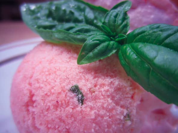 Sorbet aux fraises et au basilic