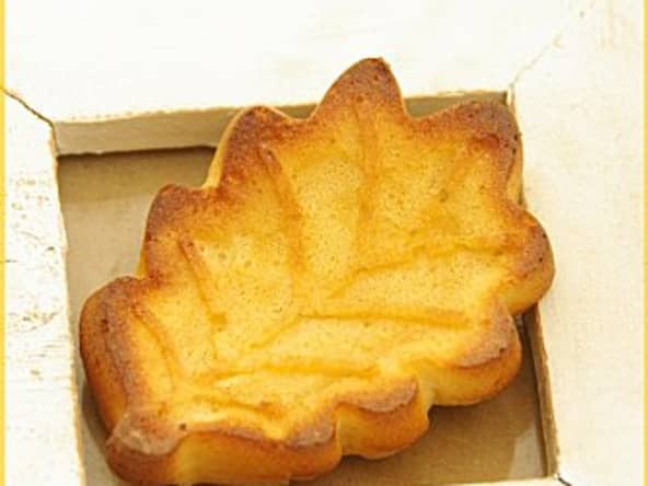 Feuilles moelleuses vanillées