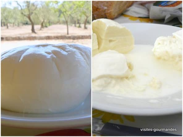 Burrata, tomates et basilic : un souvenir des Pouilles