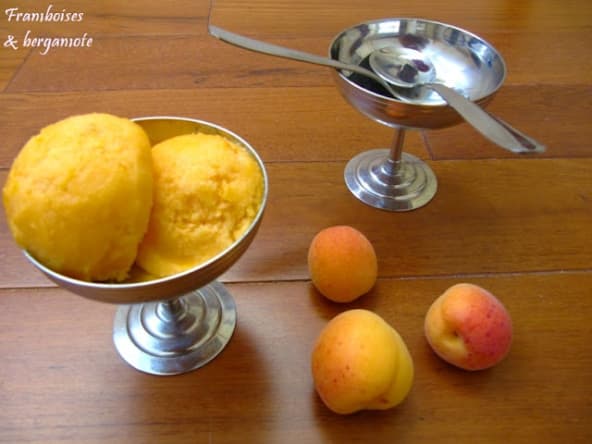 Sorbet à l'abricot tout simple