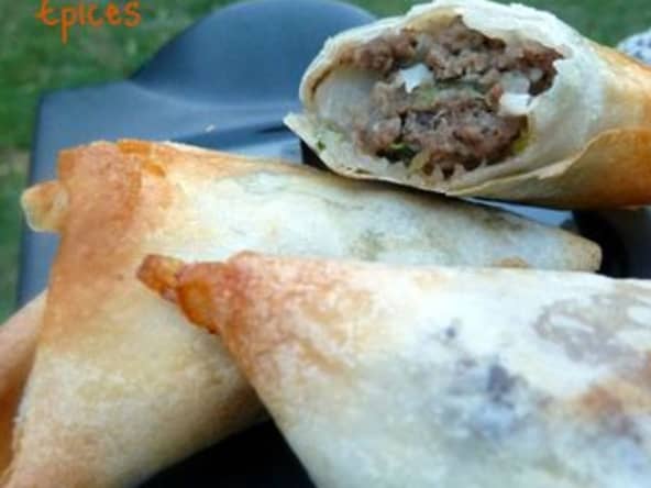 Samoussas aux Boeufs et Courgettes