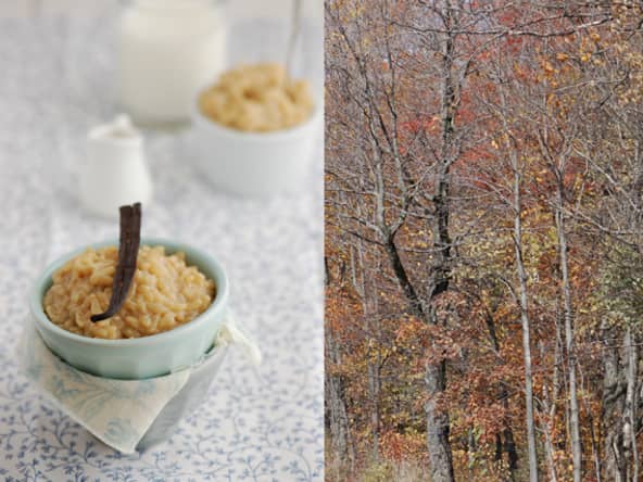 Riz au lait de brebis