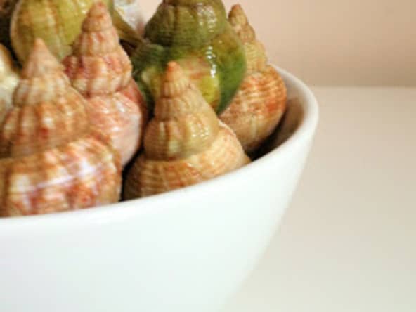 Bulots à la sauce à nem nuoc-mâm