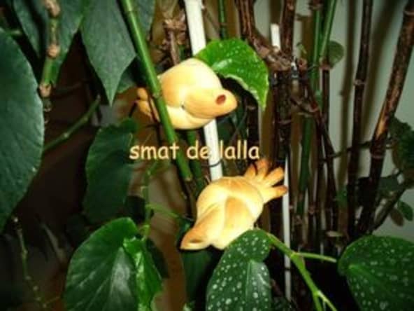 Petits pains au lait originaux en forme de petits moineaux