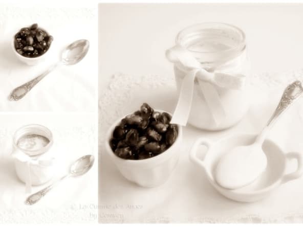 Yaourts à la Vanille et au Fructose