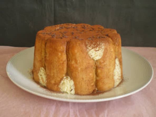 Charlotte légère au rhum façon tiramisu