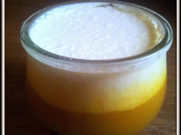 Yaourt mangue-noix de coco