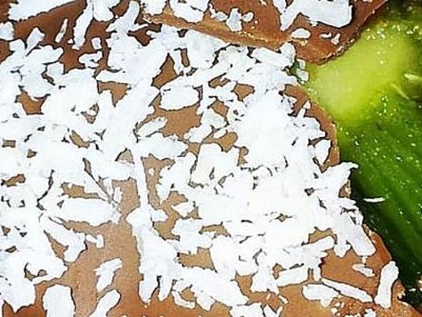 Sucette de kiwis au chocolat