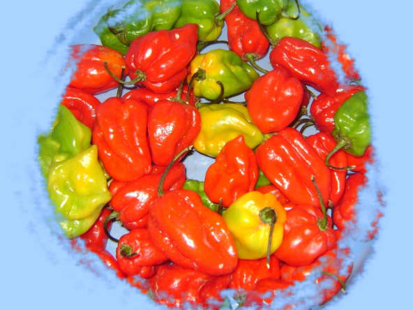 La purée de piments