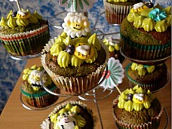 Cupcakes chocolat menthe