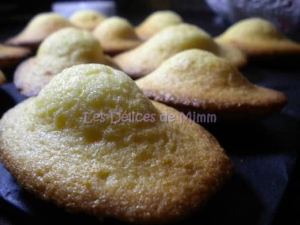Madeleines au miel bien bossues