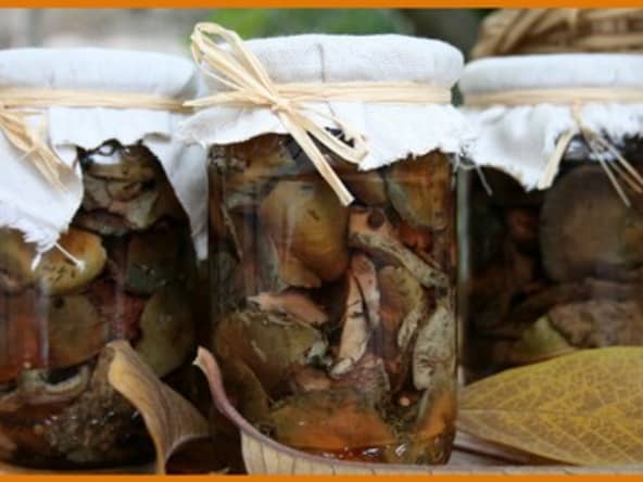 Mes sanguins à l'huile maison