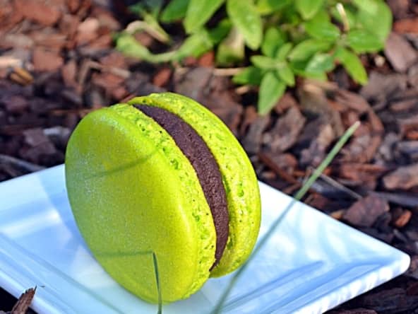 Macarons maison chocolat noir verveine à offrir ou pour se faire plaisir