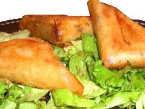 Savoureuses bricks au thon