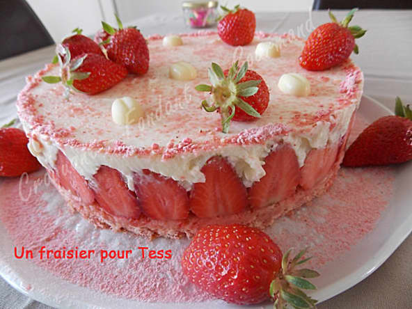 Un fraisier pour Tess