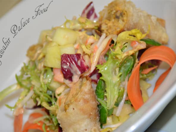 Nems au poulet de la cuisine asiatique