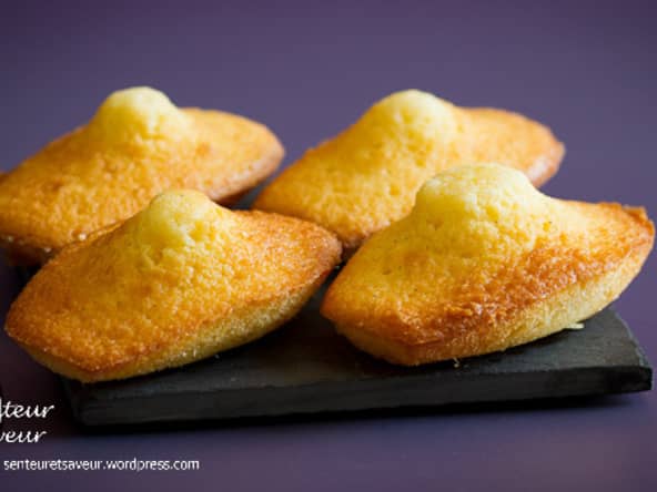 Madeleines à la vanille : d'après une recette de Lenôtre