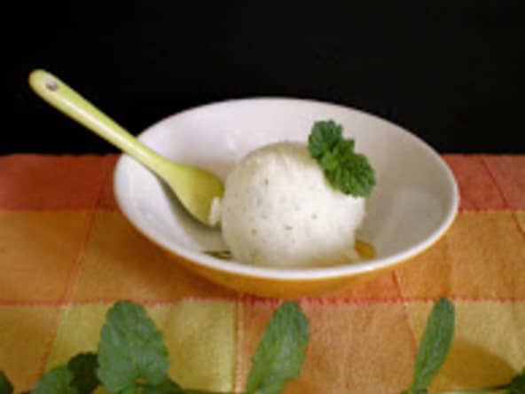 Glace au yaourt, menthe et citron vert sans sorbetière