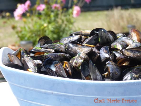 Moules à la coriandre et au fromage bleu