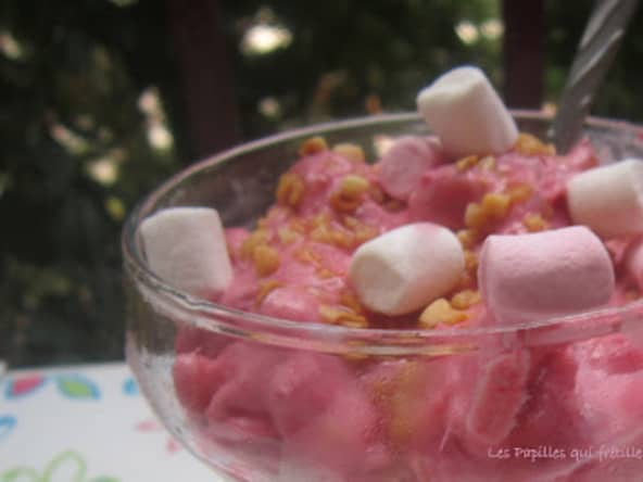 Frozen yogourt fait maison à l'ananas et aux framboises