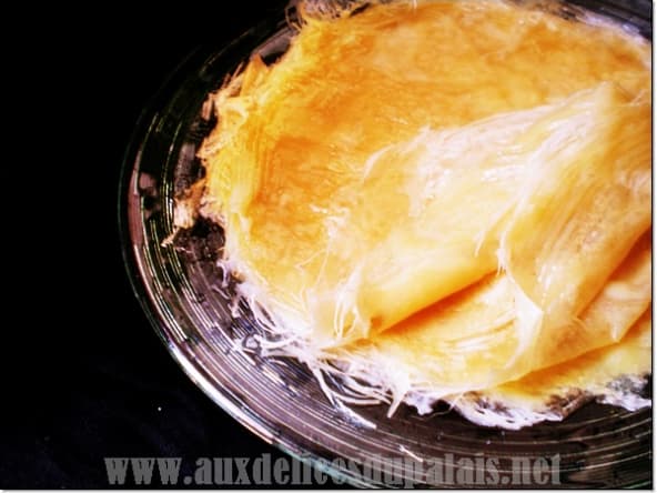 Feuilles de brick maison Dyoule ou Warka