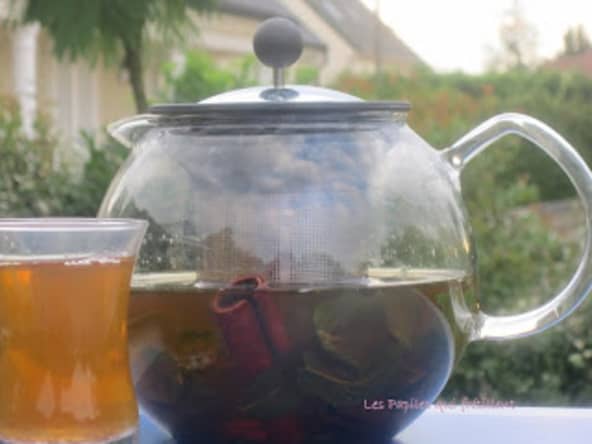 Thé vert glacé à la marocaine (menthe et cannelle)