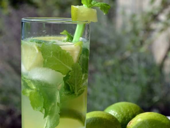 Mojito