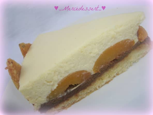 Bavarois chocolat blanc,amandes, ganache caramel, gavottes et oreillons d'abricots