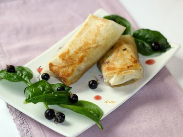 Nems de canard au cassis