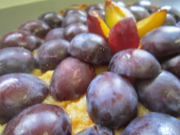 Tarte à la compote de poires et aux quetsches