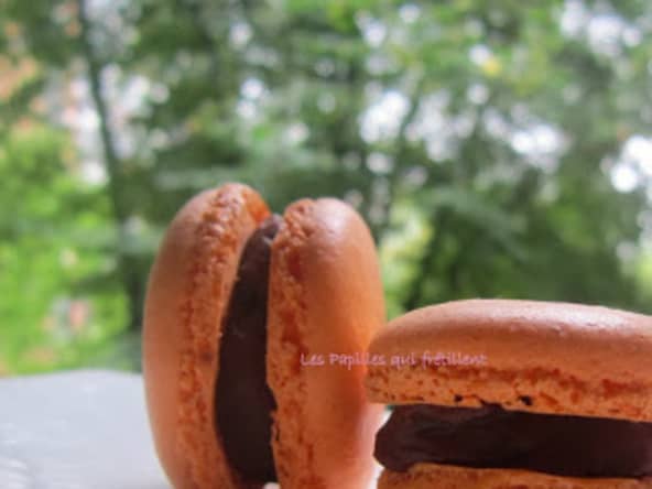 Macarons maison au chocolat et fruits de la passion