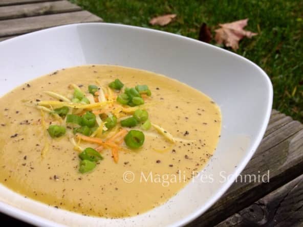 Soupette Vite-Faite de saison (Automne-Hiver)