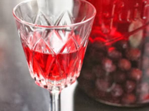 Gin aux prunelles ou liqueur anglaise Sloe gin