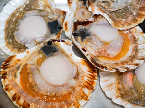 Coquille Saint Jacques ouvertes