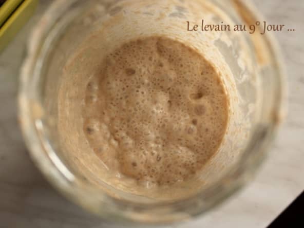 Le Levain Liquide de Mr Kayser