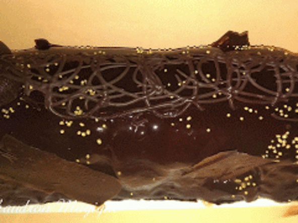 Bûche à la mousse caramel beurre salé, pommes confites et mousse à la pomme.