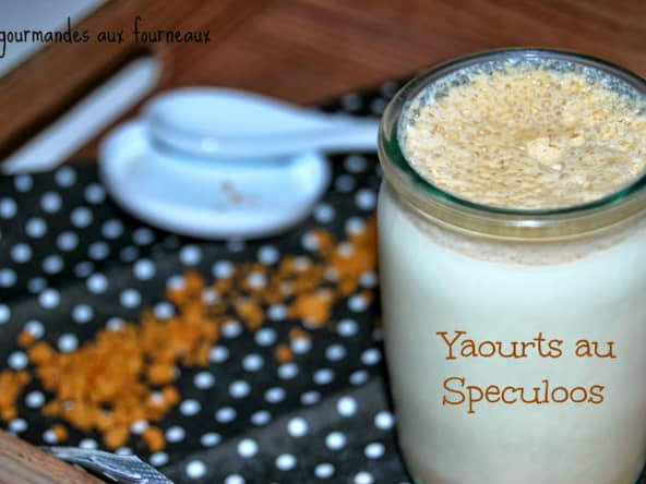 Yaourts au speculoos