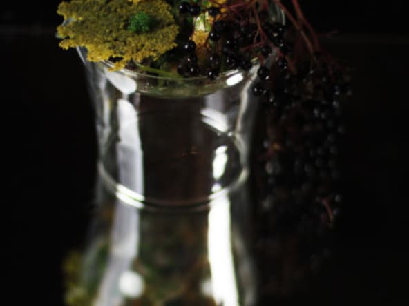 Poêlée de pieds-bleus et de langoustines - Big Peat