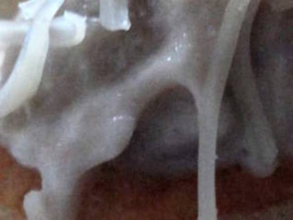 Mini Vol-au-vent ou Bouchées à la Reine au thon