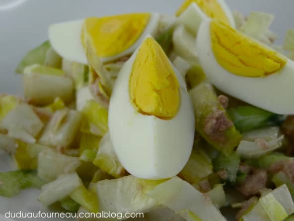 Salade d'endives au thon et concombre