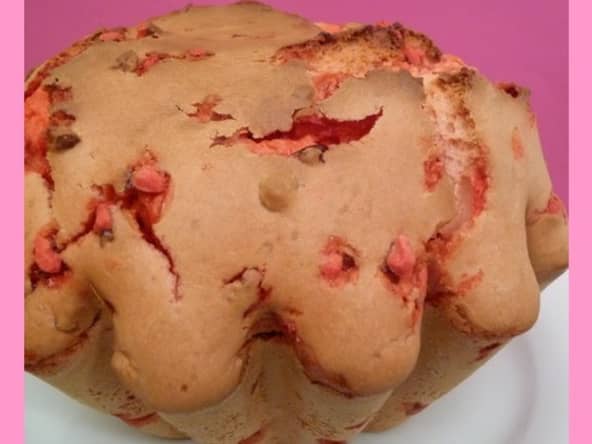 Brioche aux pralines express