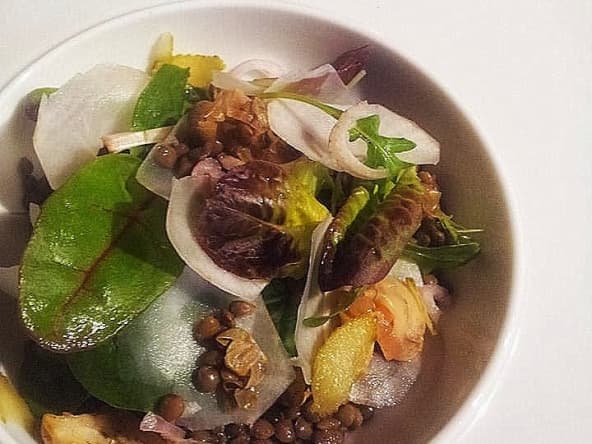 Salade tiède de lentilles, chips crues de topinambour et bulots en sauce ravigotée